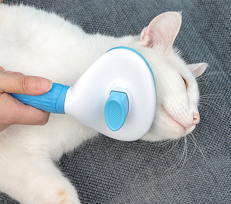 The Everyday Grooming