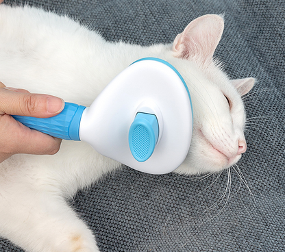 The Everyday Grooming