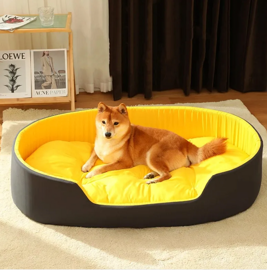 The First Nest — A soft place to begin