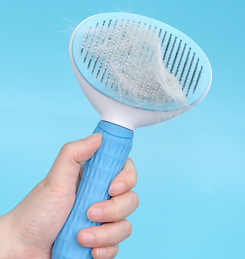 The Everyday Grooming