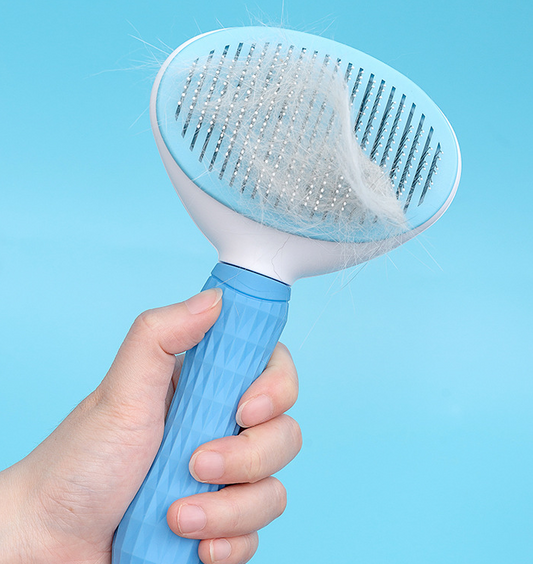 The Everyday Grooming
